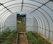 Теплица “Слава-25” внутри