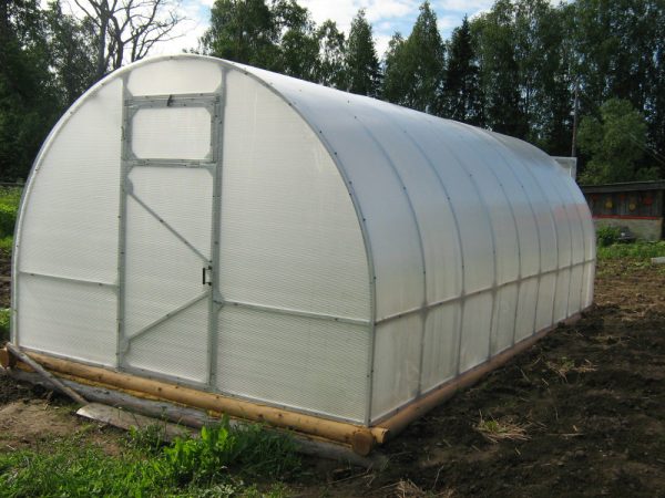 Теплица "Слава-25"