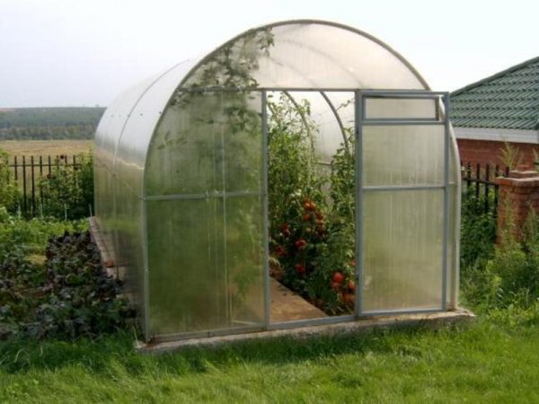 Теплица "Слава-Перчик"