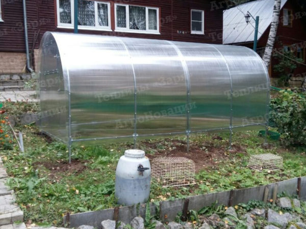 Теплица «Заря Мини»