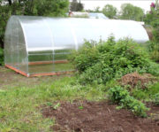 Теплица «Заря Основа»