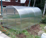 c8c7746703c0418965a45de438344889