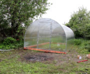 Теплица «Заря Основа»