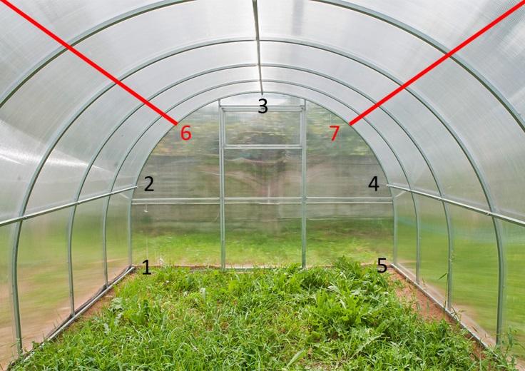 В теплицах шириной 2 и 3 м – 7 рядов продольных планок - стрингеров.